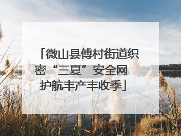 微山县傅村街道织密“三夏”安全网 护航丰产丰收季