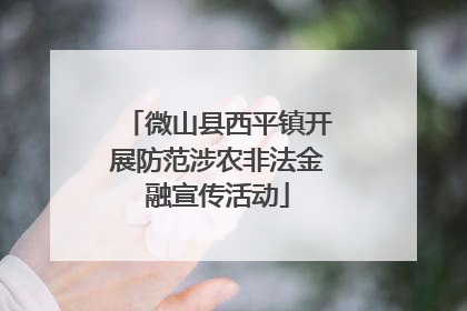 微山县西平镇开展防范涉农非法金融宣传活动