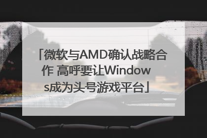 微软与AMD确认战略合作 高呼要让Windows成为头号游戏平台