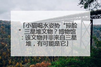 小猫喝水姿势“撞脸”三星堆文物？博物馆：该文物并非来自三星堆，有可能是它