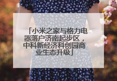 小米之家与格力电器落户济南起步区，中科新经济科创园商业生态升级
