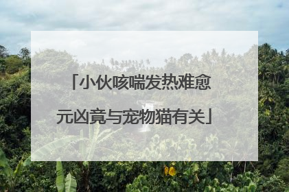 小伙咳喘发热难愈 元凶竟与宠物猫有关