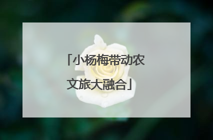 小杨梅带动农文旅大融合