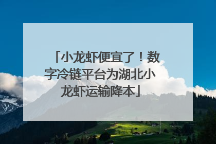 小龙虾便宜了！数字冷链平台为湖北小龙虾运输降本