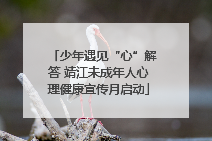 少年遇见“心”解答 靖江未成年人心理健康宣传月启动