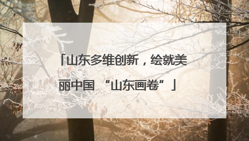 山东多维创新，绘就美丽中国 “山东画卷”