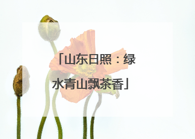 山东日照：绿水青山飘茶香