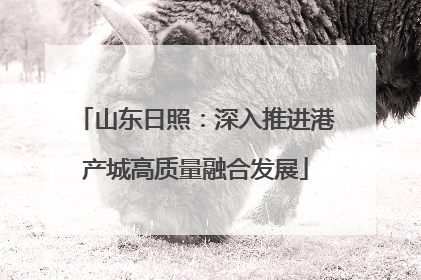 山东日照：深入推进港产城高质量融合发展