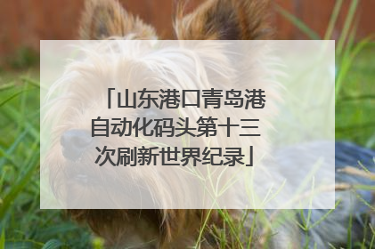 山东港口青岛港自动化码头第十三次刷新世界纪录