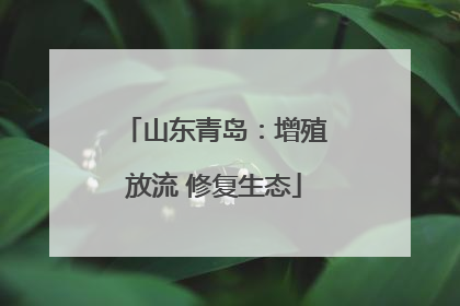 山东青岛：增殖放流 修复生态