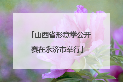 山西省形意拳公开赛在永济市举行