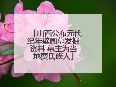 山西公布元代纪年壁画墓发掘资料 墓主为当地贾氏族人