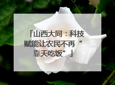 山西大同：科技赋能让农民不再“靠天吃饭”