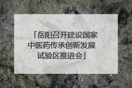 岳阳召开建设国家中医药传承创新发展试验区推进会