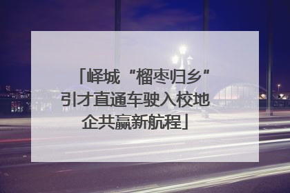峄城“榴枣归乡”引才直通车驶入校地企共赢新航程