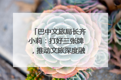 巴中文旅局长齐小莉：打好三张牌，推动文旅深度融合｜文旅局长说