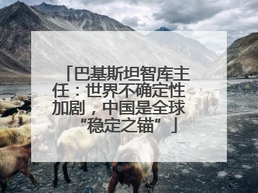 巴基斯坦智库主任：世界不确定性加剧，中国是全球“稳定之锚”