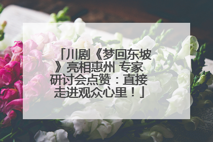 川剧《梦回东坡》亮相惠州 专家研讨会点赞：直接走进观众心里！