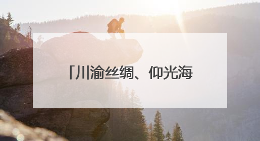 川渝丝绸、仰光海鲜3小时直达！成都双流⇌缅甸仰光全货运航线开通