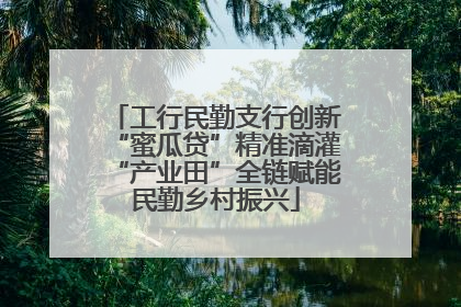 工行民勤支行创新“蜜瓜贷”精准滴灌“产业田”全链赋能民勤乡村振兴
