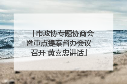 市政协专题协商会暨重点提案督办会议召开 黄喜忠讲话