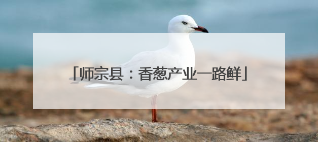 师宗县：香葱产业一路鲜