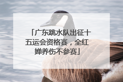 广东跳水队出征十五运会资格赛，全红婵养伤不参赛