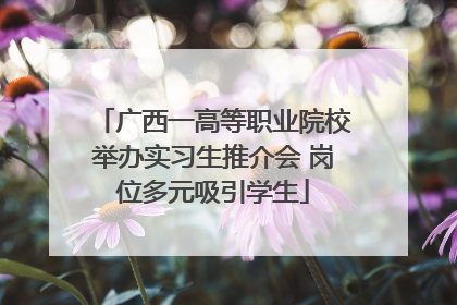 广西一高等职业院校举办实习生推介会 岗位多元吸引学生