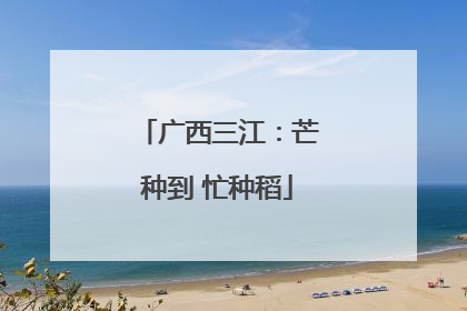 广西三江：芒种到 忙种稻