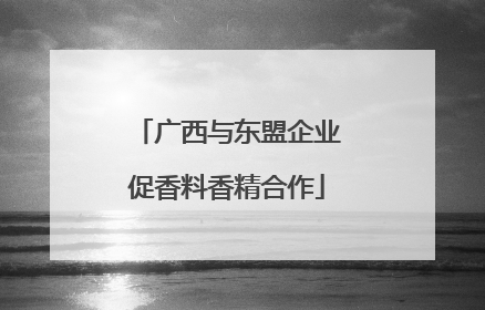 广西与东盟企业促香料香精合作