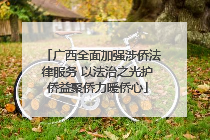 广西全面加强涉侨法律服务 以法治之光护侨益聚侨力暖侨心