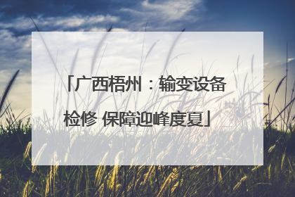 广西梧州：输变设备检修 保障迎峰度夏