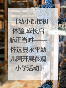 幼小衔接初体验 成长启航正当时——怀远县永平幼儿园开展参观小学活动