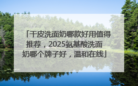 干皮洗面奶哪款好用值得推荐，2025氨基酸洗面奶哪个牌子好，温和在线