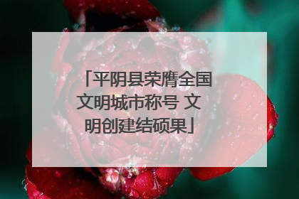 平阴县荣膺全国文明城市称号 文明创建结硕果