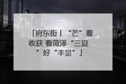 府东街丨“芒”着收获 看菏泽“三夏”好“丰景”