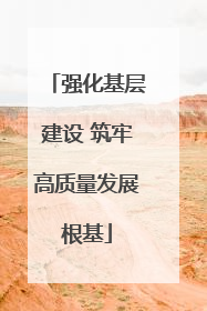 强化基层建设 筑牢高质量发展根基