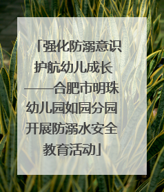 强化防溺意识 护航幼儿成长——合肥市明珠幼儿园如园分园开展防溺水安全教育活动