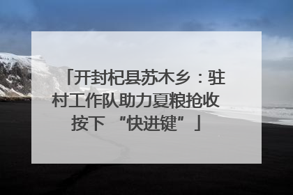 开封杞县苏木乡：驻村工作队助力夏粮抢收按下 “快进键”