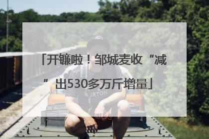 开镰啦！邹城麦收“减”出530多万斤增量