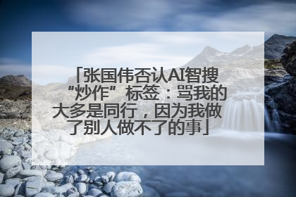 张国伟否认AI智搜“炒作”标签：骂我的大多是同行，因为我做了别人做不了的事