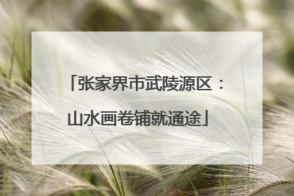 张家界市武陵源区：山水画卷铺就通途