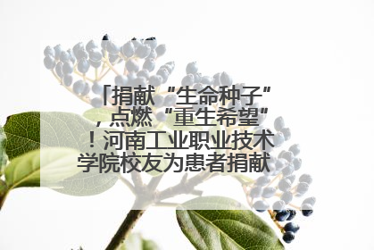 捐献“生命种子”，点燃“重生希望”！河南工业职业技术学院校友为患者捐献造血干细胞