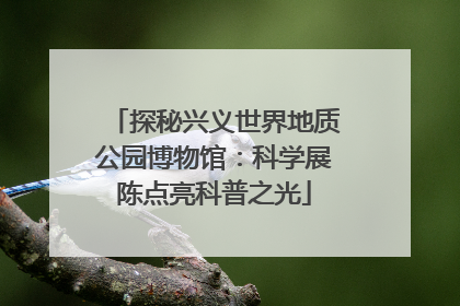 探秘兴义世界地质公园博物馆：科学展陈点亮科普之光