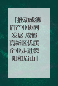 推动成德眉产业协同发展 成都高新区优质企业走进德阳和眉山