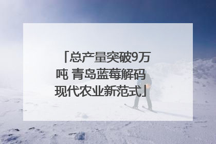 总产量突破9万吨 青岛蓝莓解码现代农业新范式