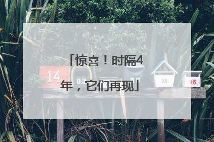 惊喜！时隔4年，它们再现