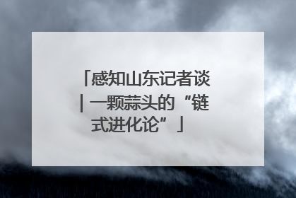 感知山东记者谈｜一颗蒜头的“链式进化论”