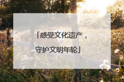 感受文化遗产，守护文明年轮