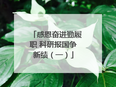 感恩奋进勤履职 科研报国争新绩（一）